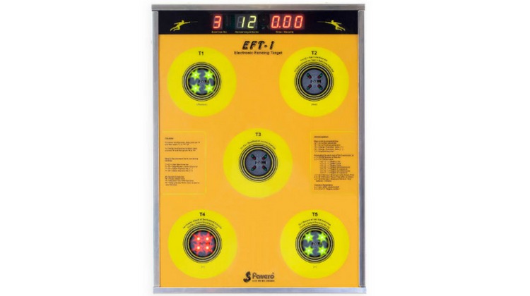 electronic fencing wall