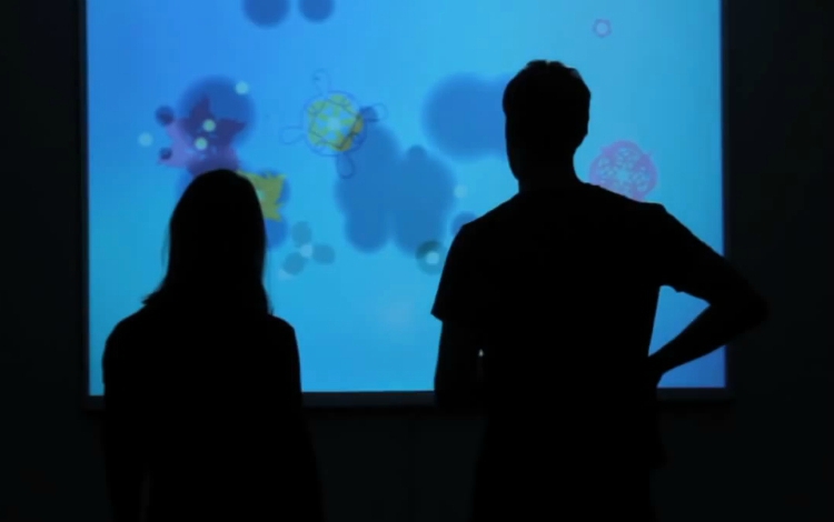 pearl lab rehabilitation