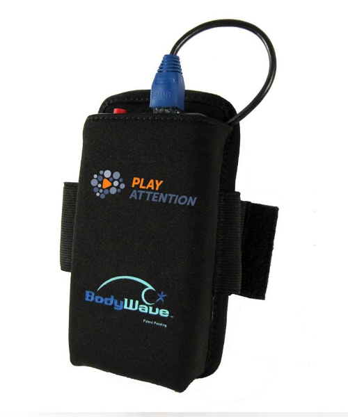 play attention learning system