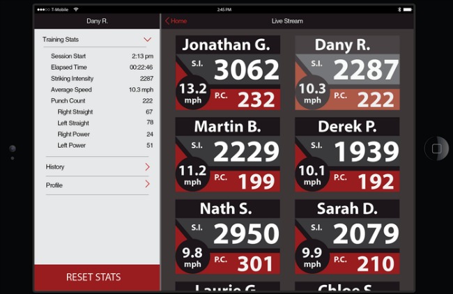 boxing sensor tracker