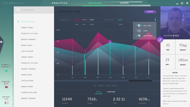 interactive exercise ball