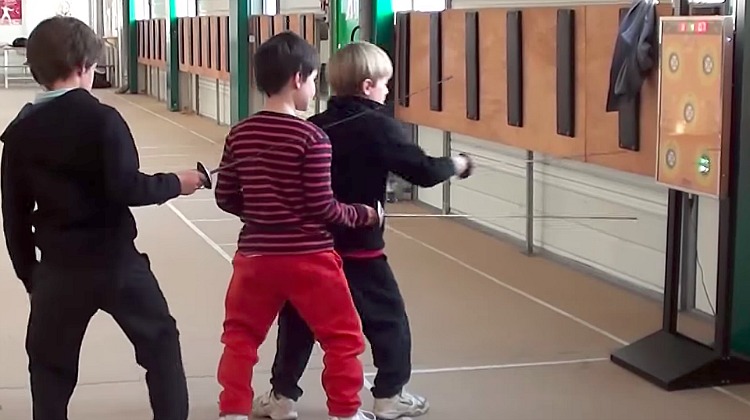 electronic fencing wall