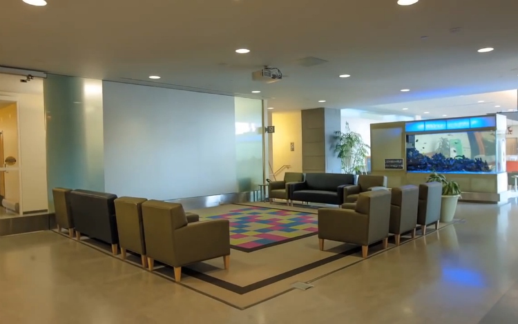 pearl lab rehabilitation