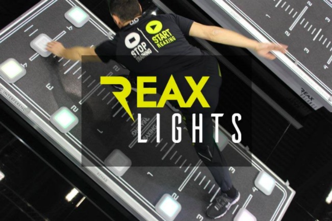 reax light interactive training 