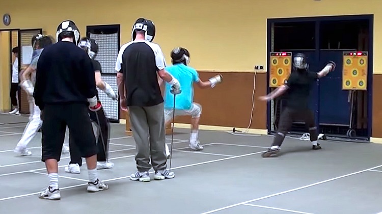 electronic fencing wall