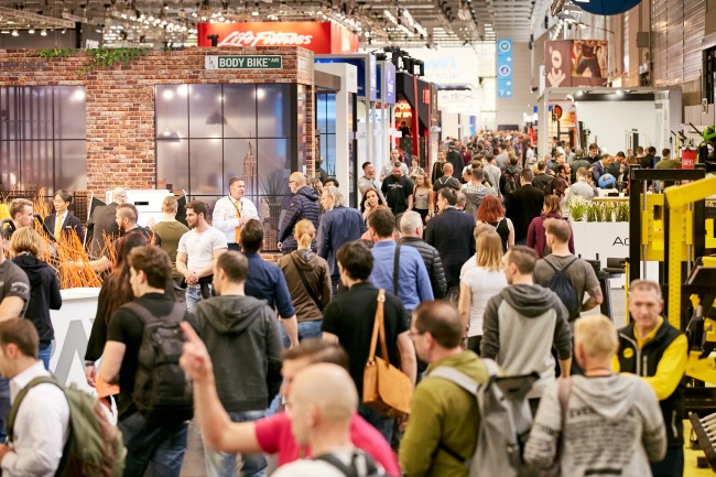 fibo expert fibo expert