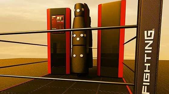 eFIGHTING for Fitness Training and Stress Management