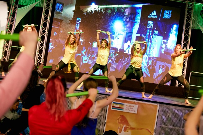 fibo passion fibo passion