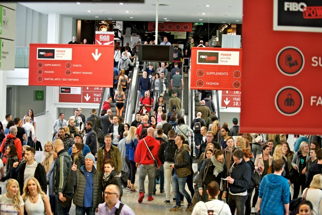 fibo power fibo power