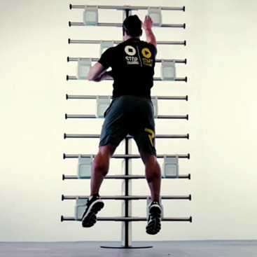 reax light interactive training 