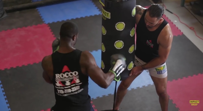 boxing smart punching bag
