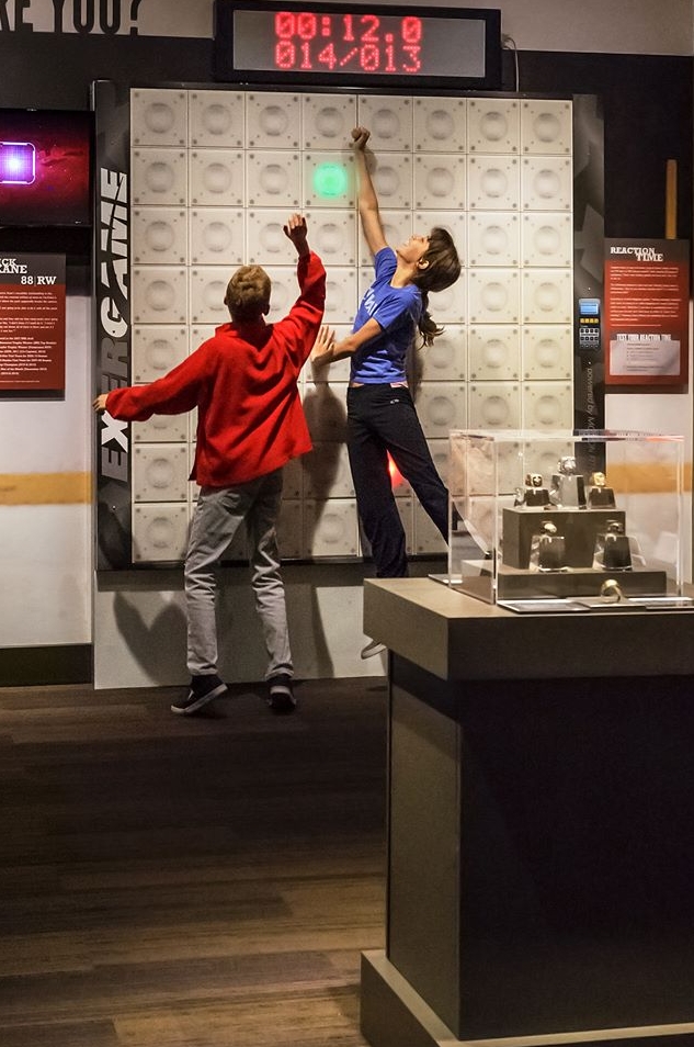 chicago sports museum