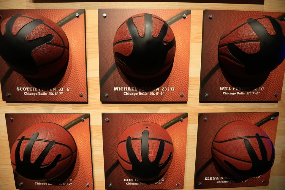 chicago sports museum