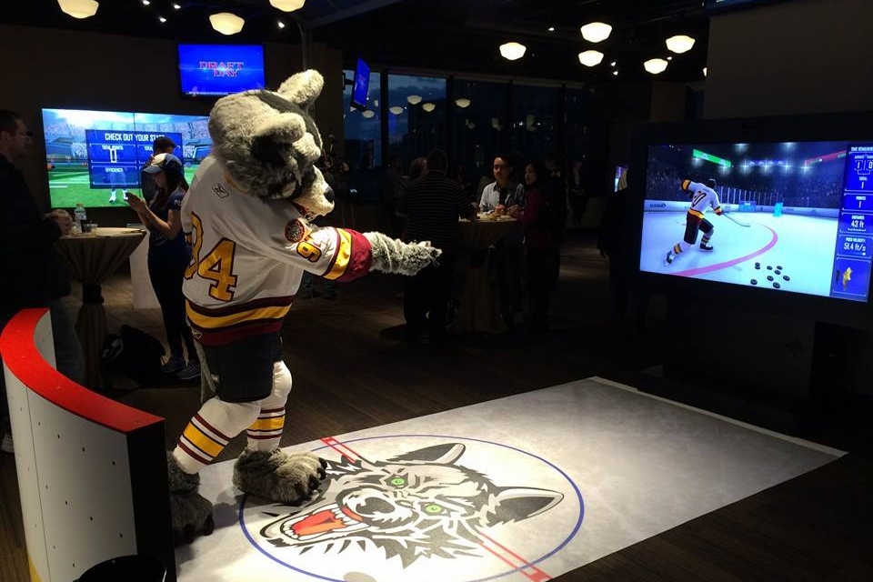 chicago sports museum